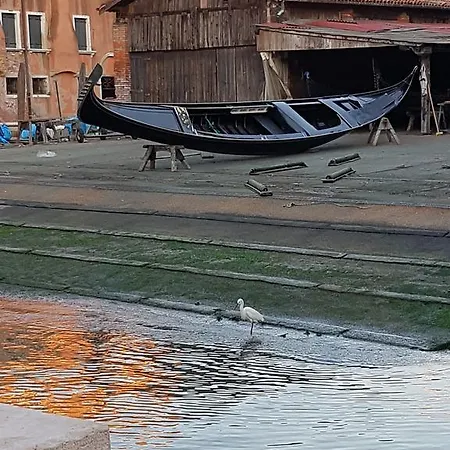 Garden Ca' Rezzonico Venedig