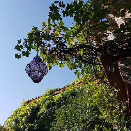 Garden Ca' Rezzonico Venetië