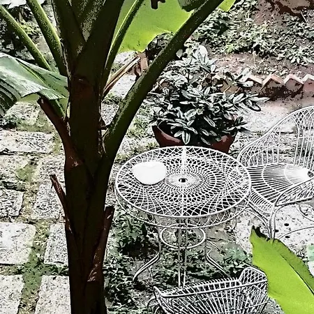 Garden Ca' Rezzonico Lägenhet