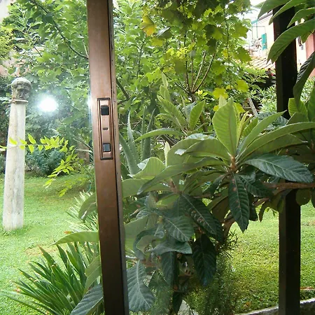 Garden Ca' Rezzonico Venedig